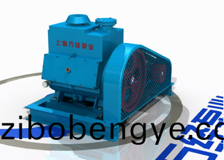 2BV係(xi)列(lie)水環(huán)式(shi)真(zhen)空(kong)泵(beng)的內(nèi)部結(jié)(jie)構(gòu)-分(fen)解(jie)視頻